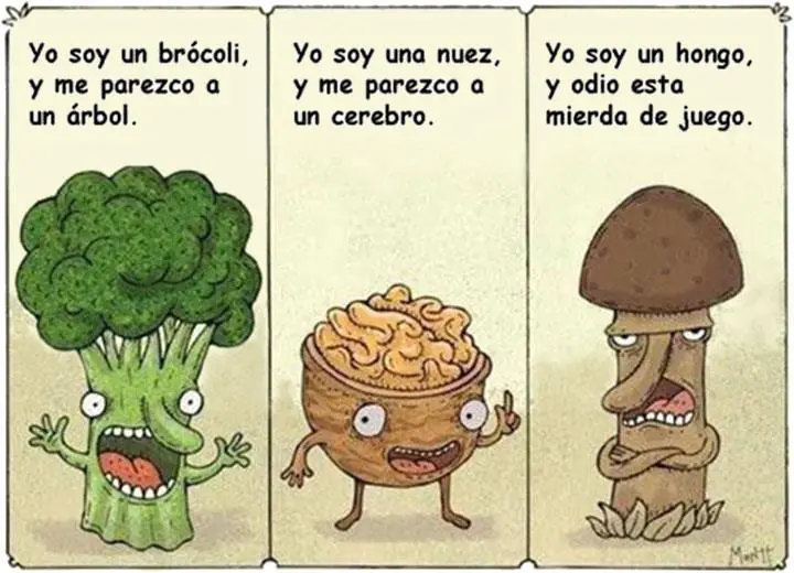 felicidad