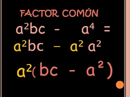 factor comun