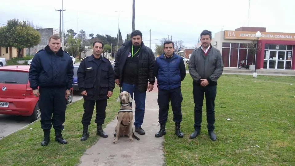 Los perros adiestrados que salvan vidas en la Argentina Los perros adiestrados que salvan vidas en la Argentina