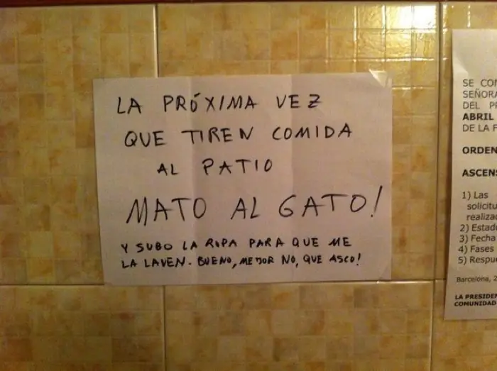 que arman