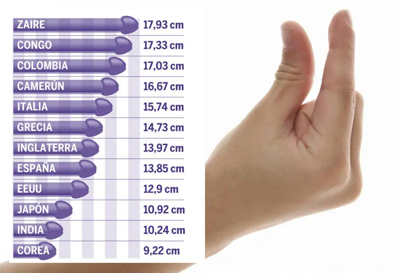 Medida promedio del pene