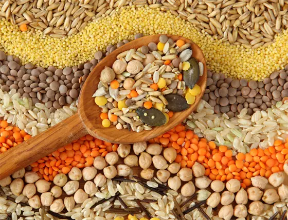 Platos para agregar legumbres a nuestra dieta