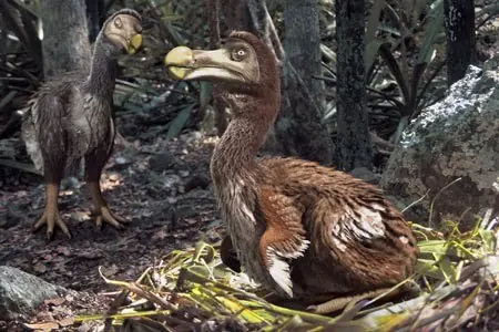 La inteligencia del Dodo