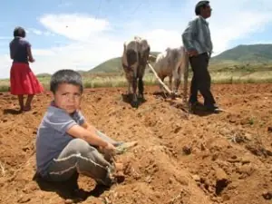 BM advierte del impacto de compra de tierras a gran escala