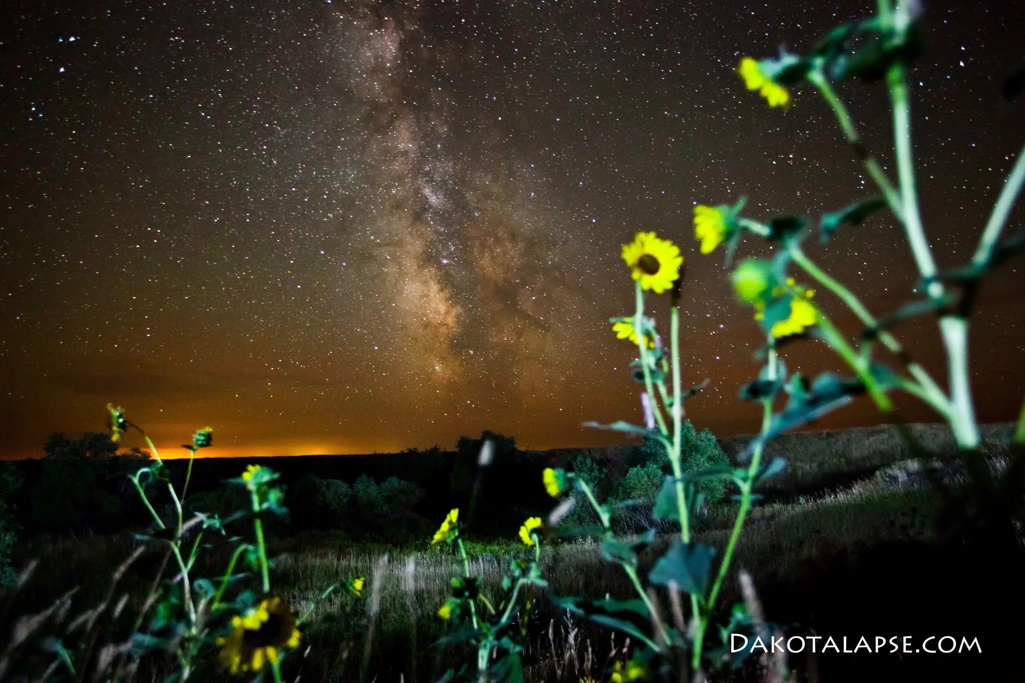 via lactea