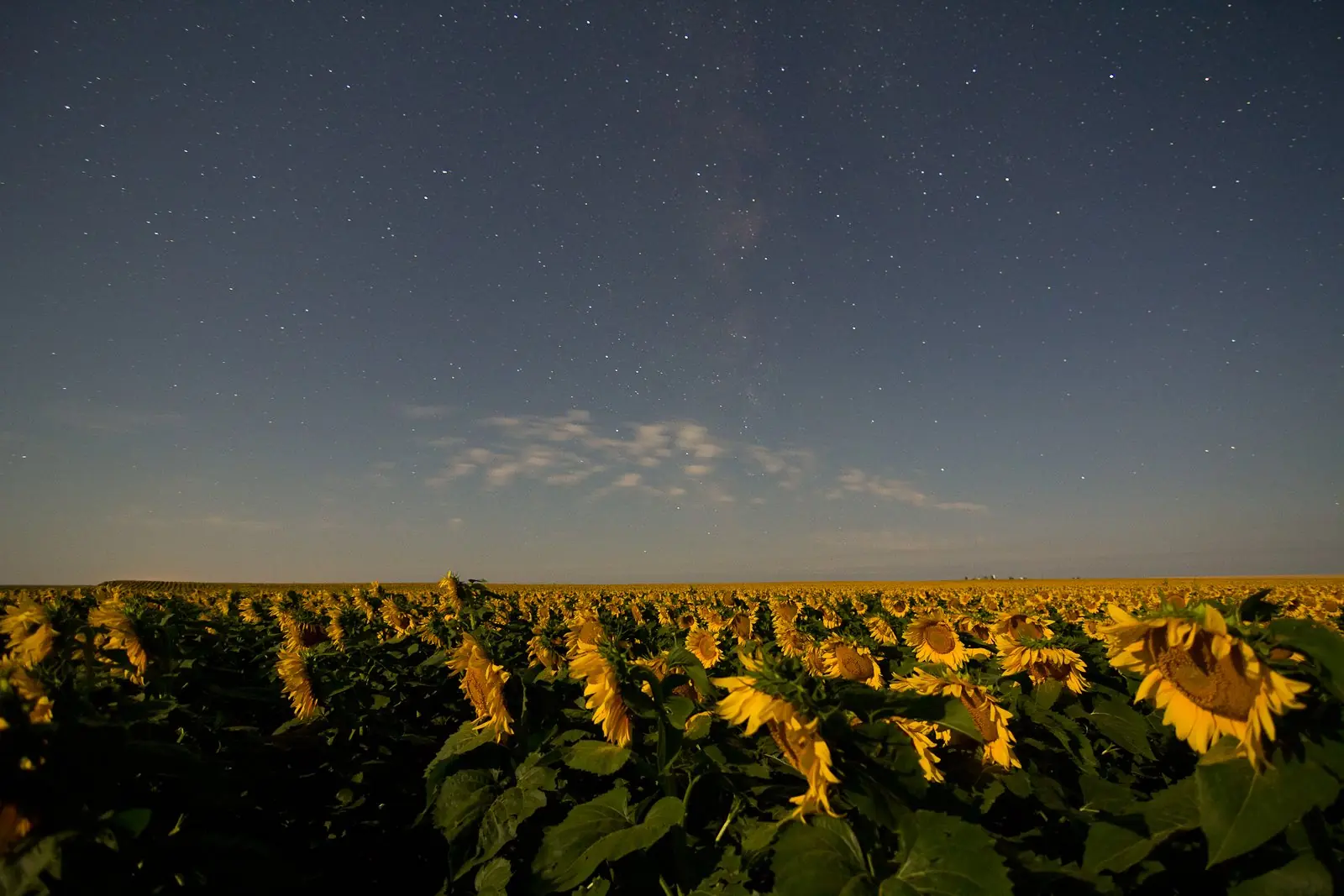 via lactea