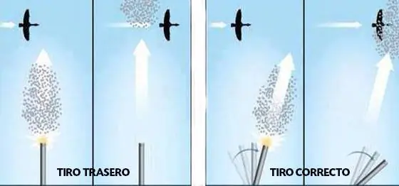 te lo cuento te lo cuento