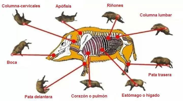 rifle aire comprimido rifle aire comprimido