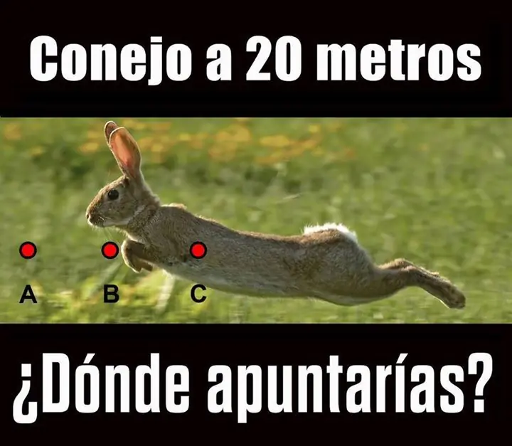 tutoriales tutoriales