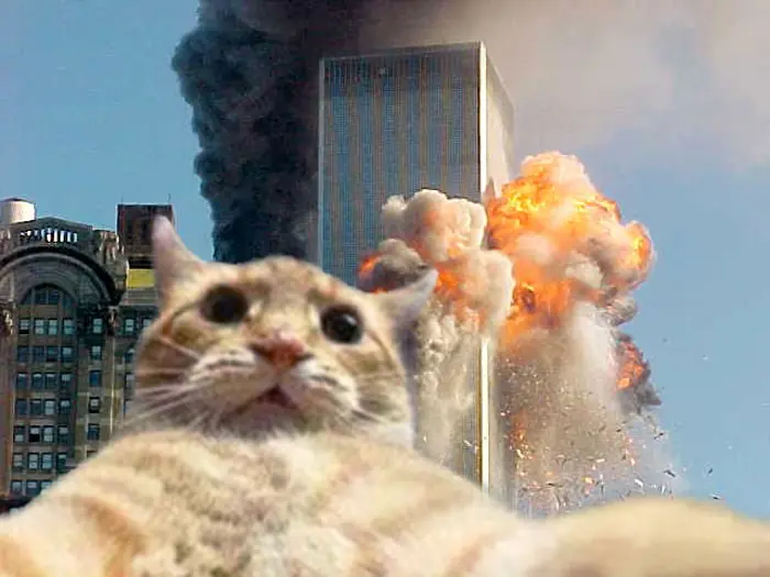 Personas que murieron luego de tomarse estas selfies