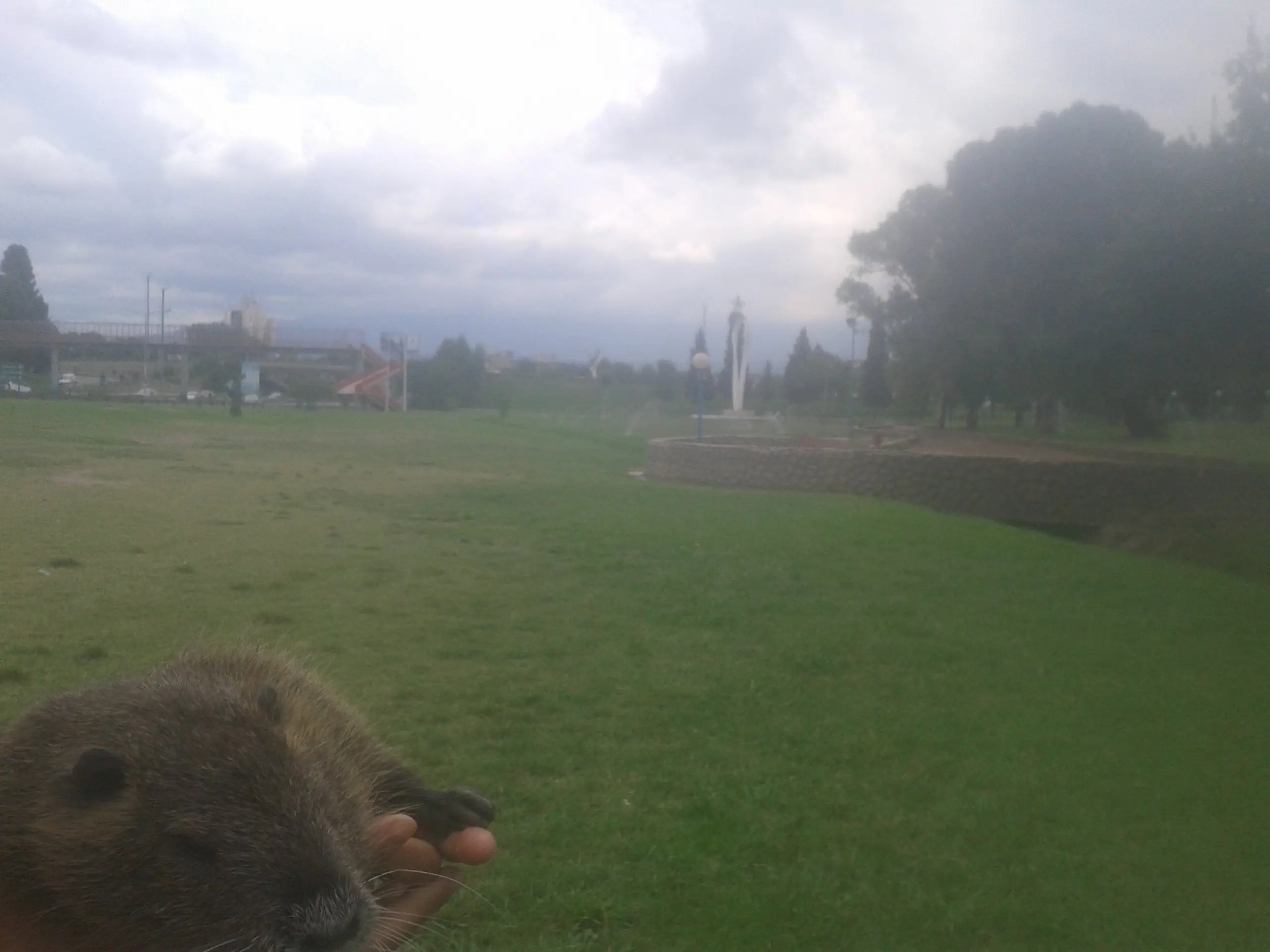 Santa Fe Santa Fe