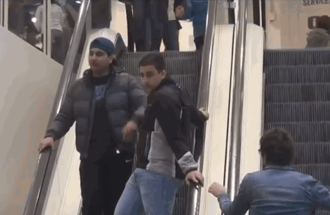 El mimoso del shooping, en gifs