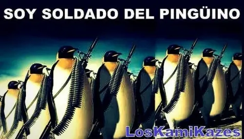 taringueros
