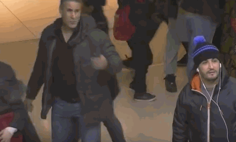El mimoso del shooping, en gifs