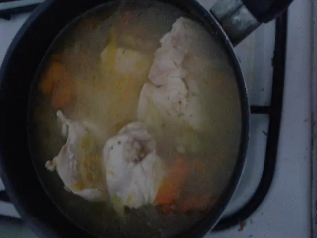 pollo
