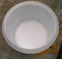 Increible! Ahora tu semen puede tener gustos frutales...