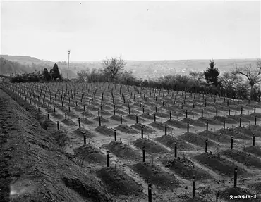 5 mentiras sobre el holocausto
