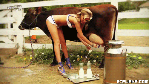 Kate Upton ordeñando una vaca en ropa interior Kate Upton ordeñando una vaca en ropa interior