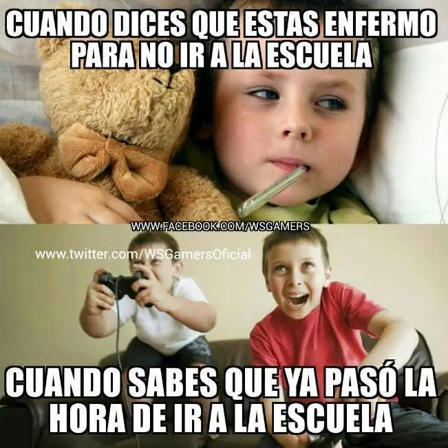 seis