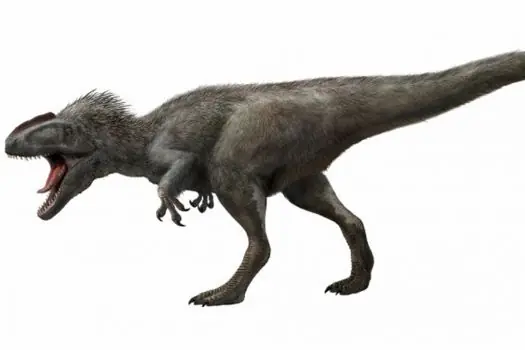 trex