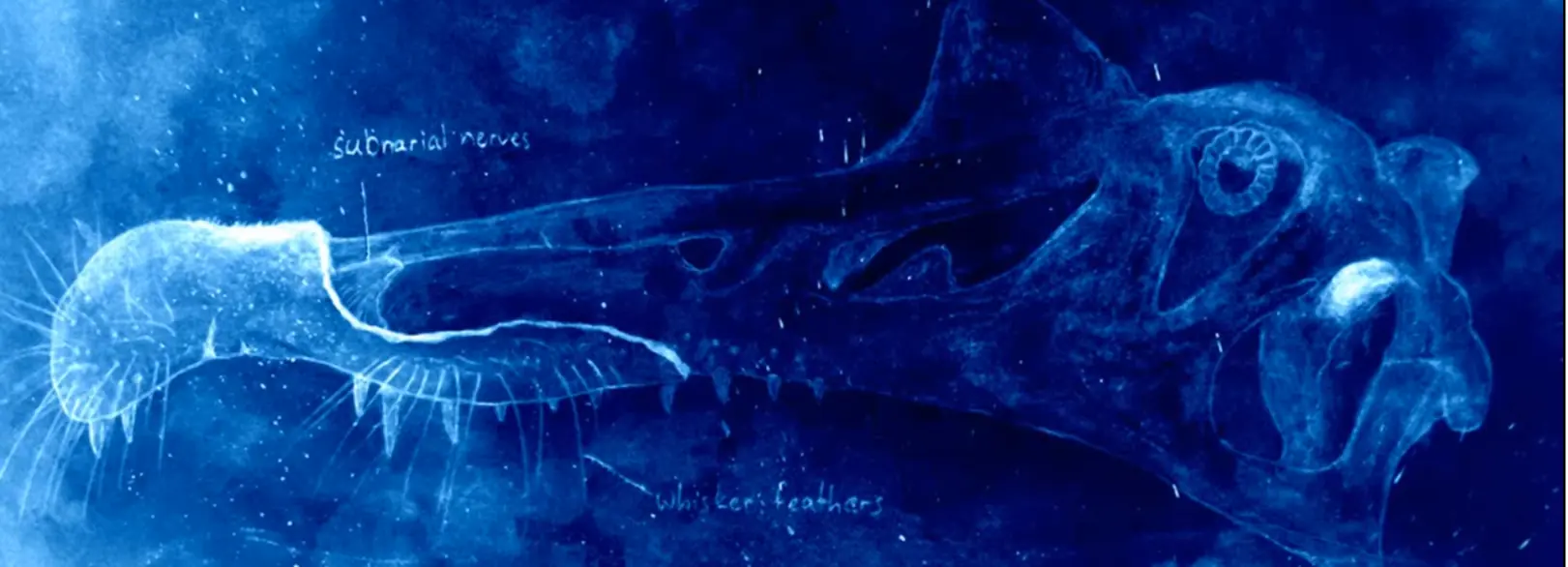 dinosaurios