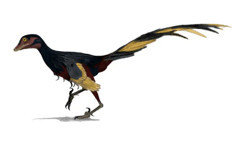 ankylosaurio