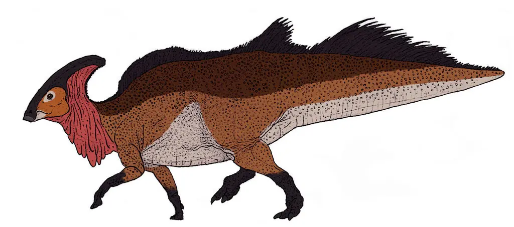 triceratops