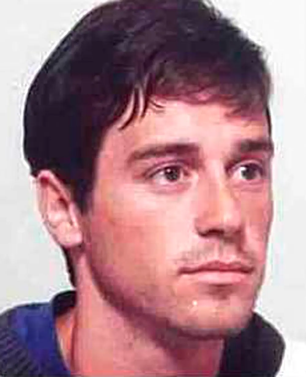 bernardo bernardo
