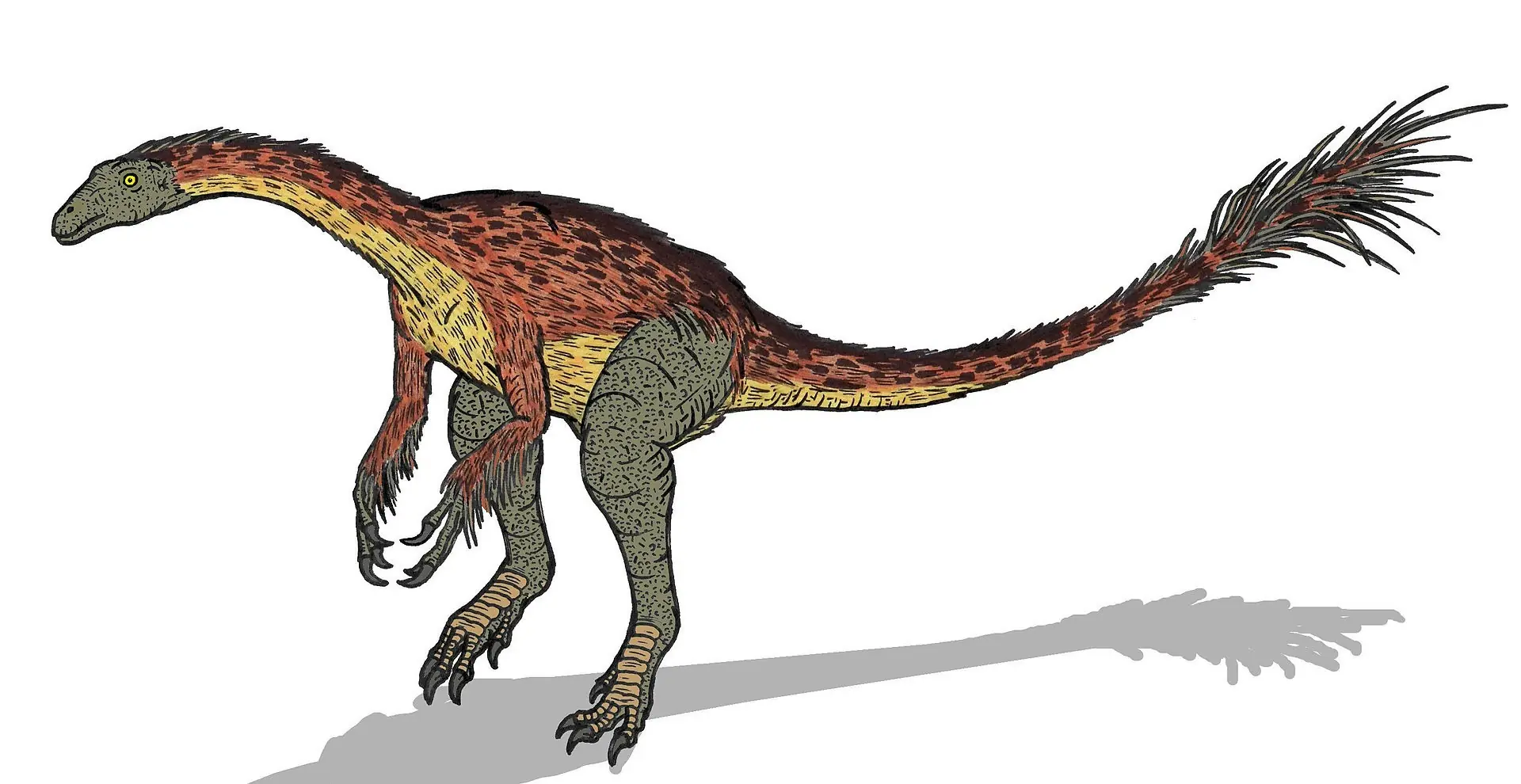 Megapost: ¿Los dinosaurios tenían plumas?