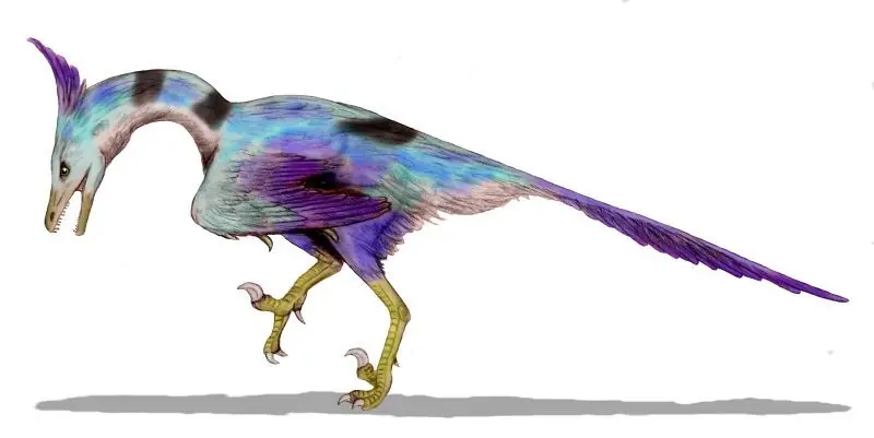 trex