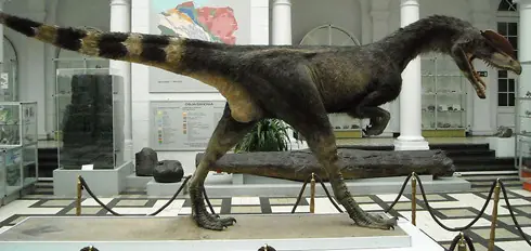triceratops