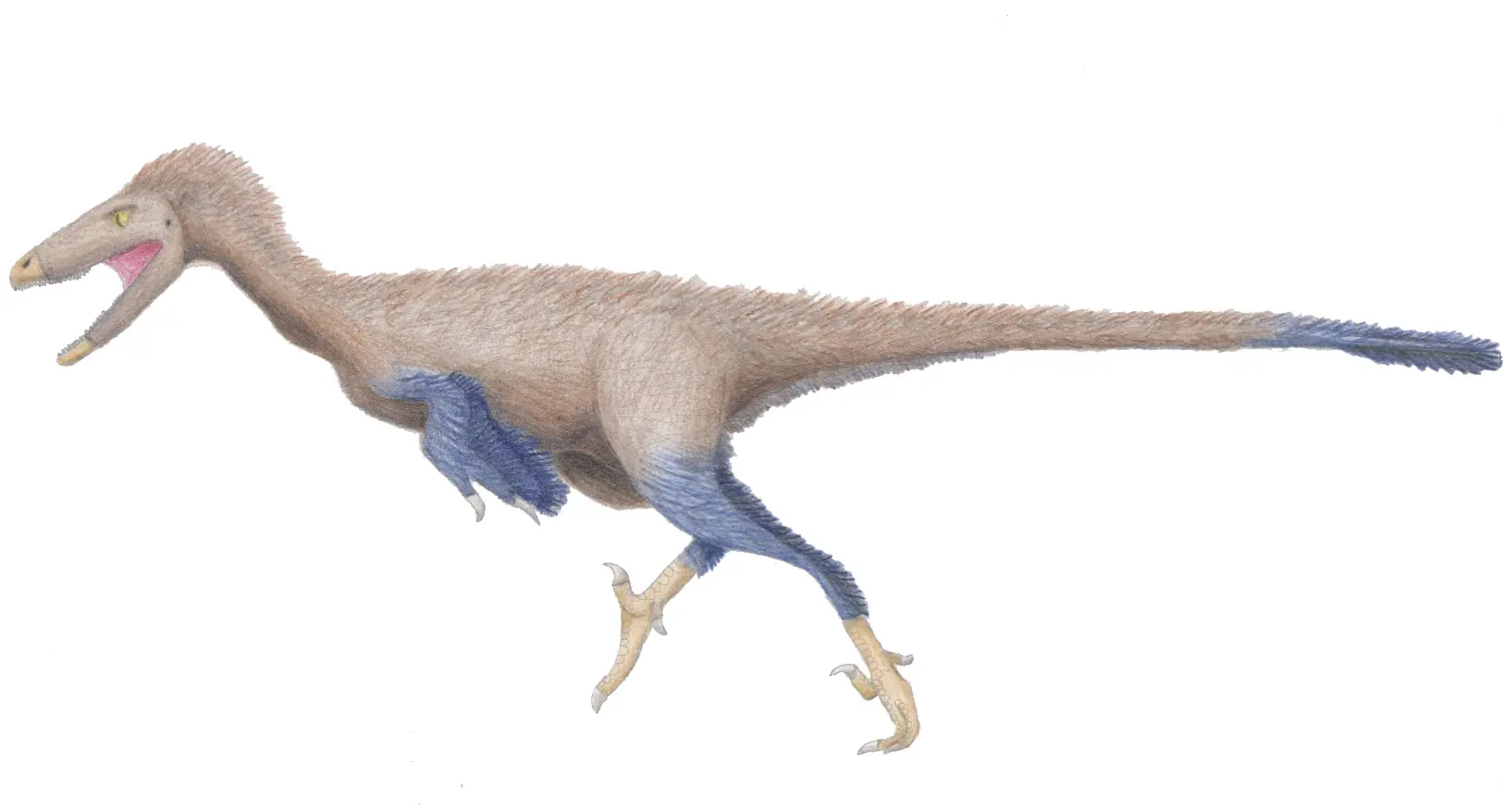 dinosaurios