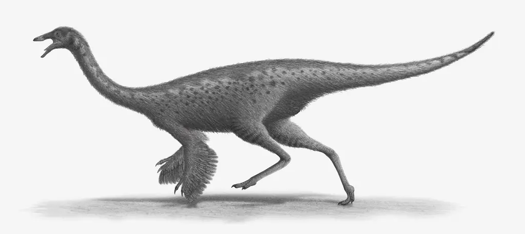 triceratops