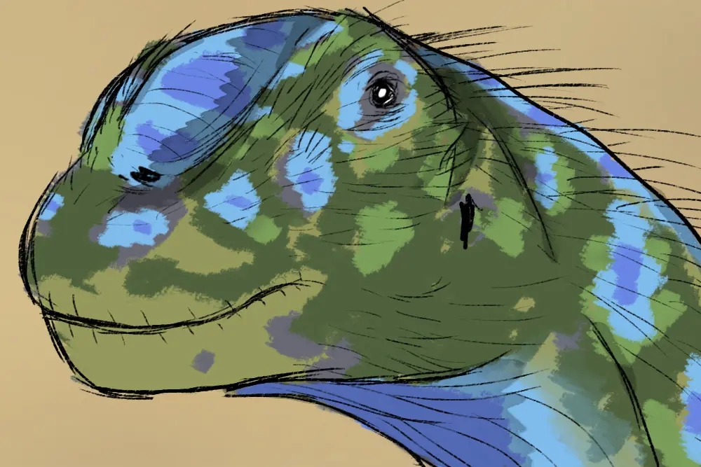 triceratops