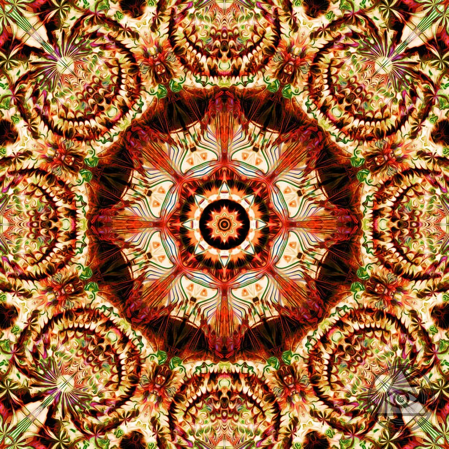 geometria