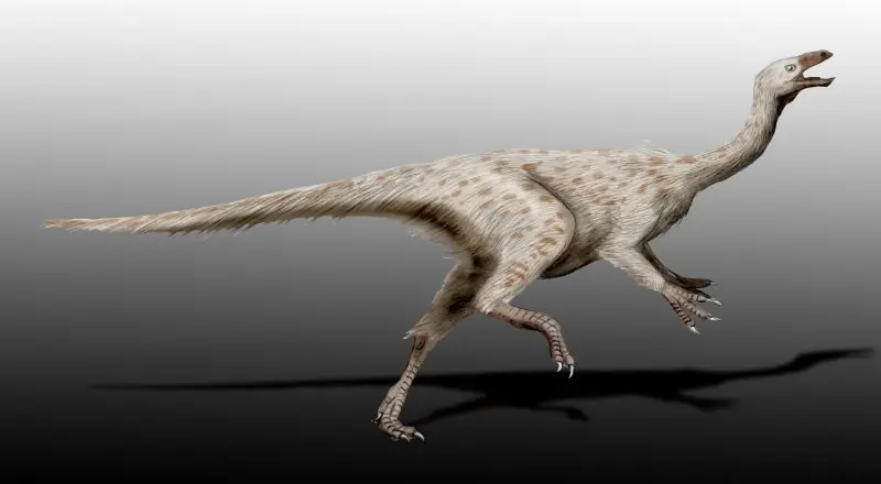 trex