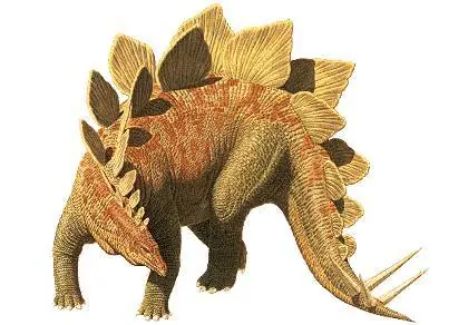 raptor