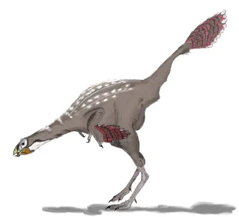 triceratops