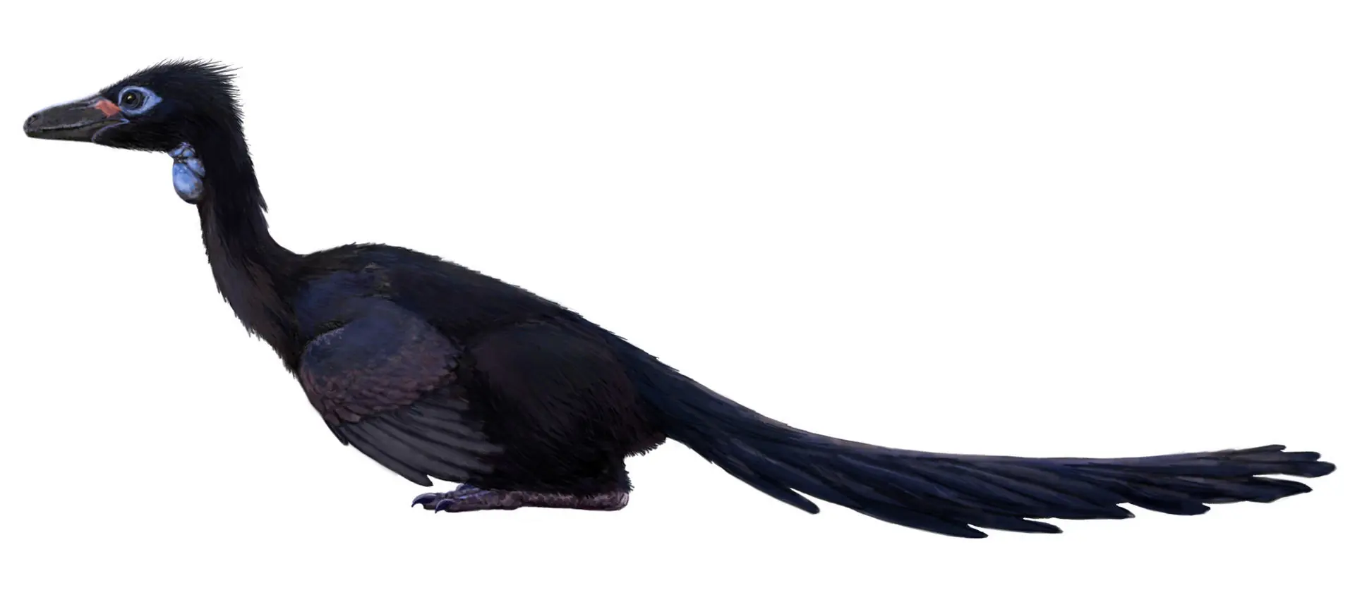 Megapost: ¿Los dinosaurios tenían plumas?
