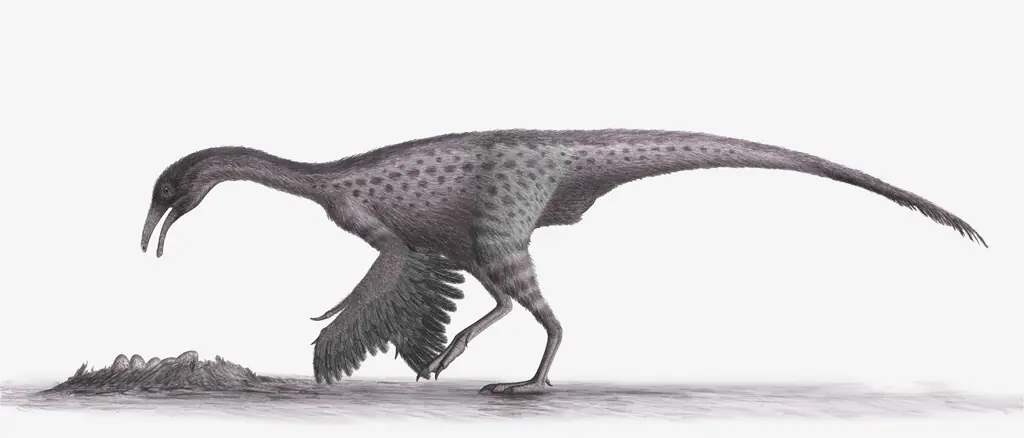 velociraptor
