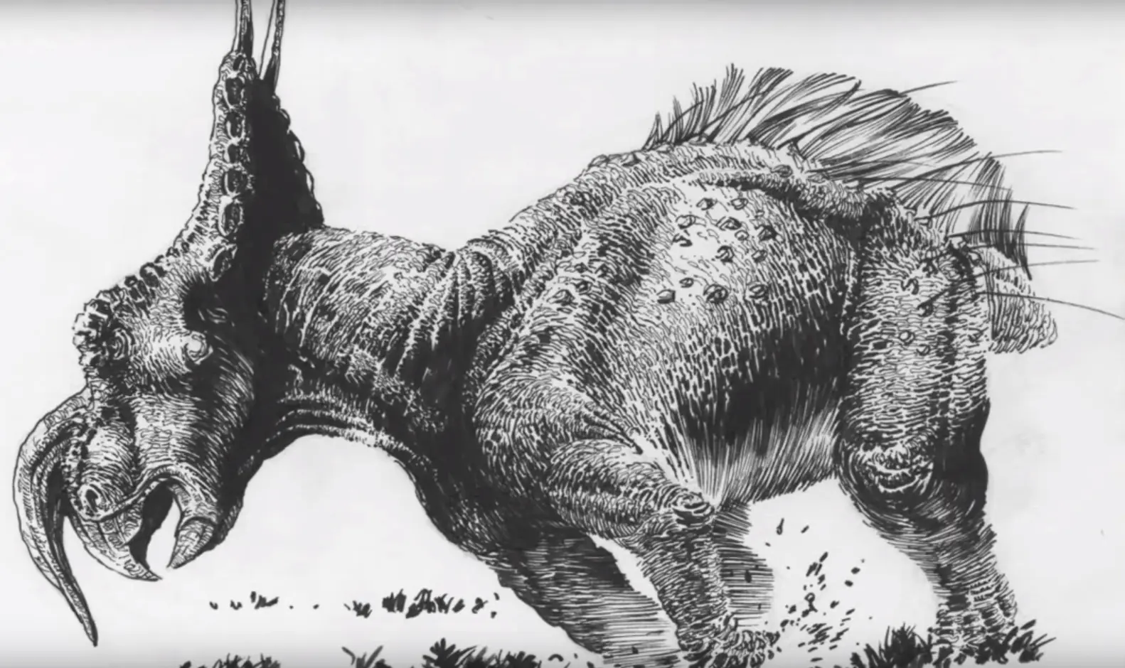 trex