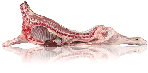 nutricion nutricion