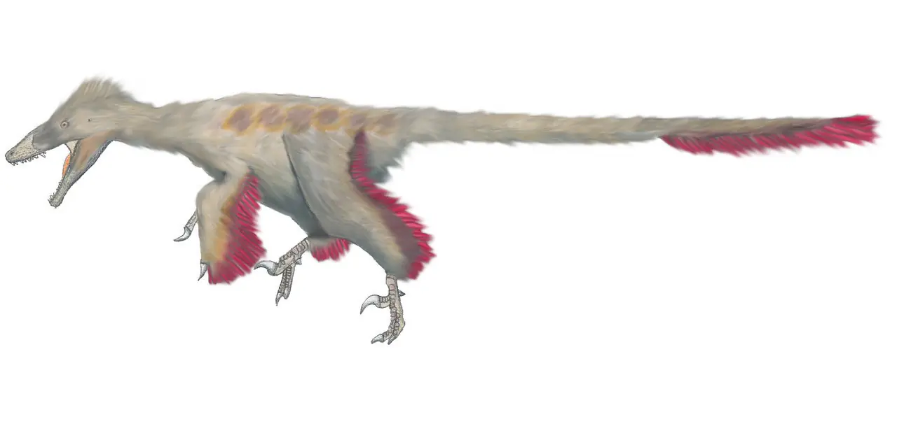 velociraptor