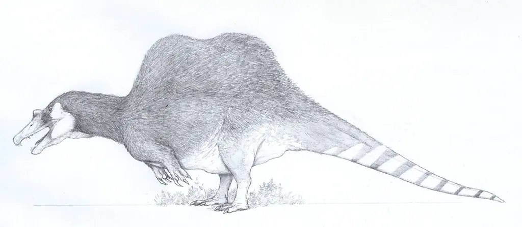 Megapost: ¿Los dinosaurios tenían plumas?
