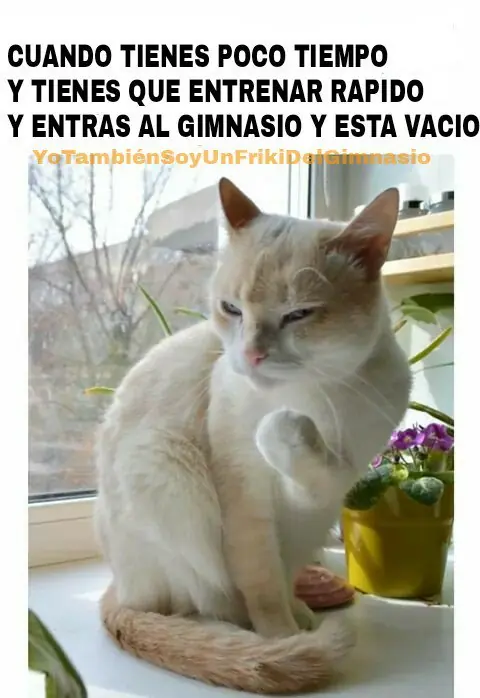 Imagenes para Fisicoculturistas Taringueros