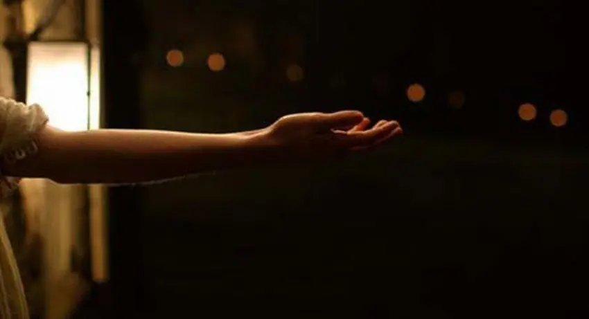 pelicula