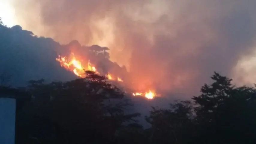 Moquehue