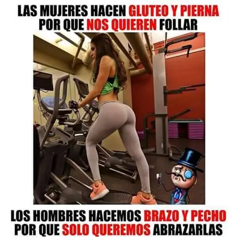 culturistas