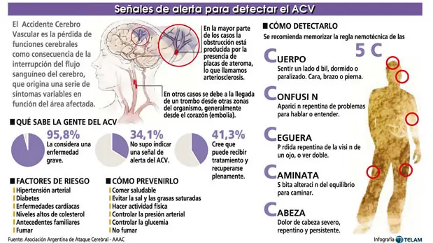 cerebro