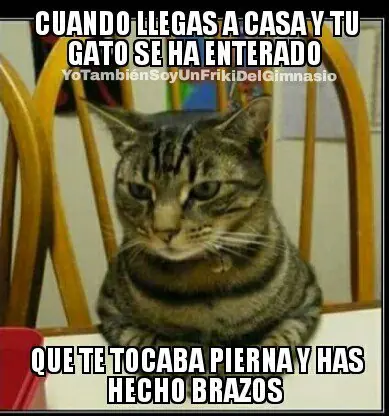 imagenes